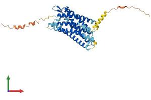 Protein Structure (PS) image for Cysteinyl Leukotriene Receptor 1 (CYSLTR1) (AA 1-352) protein (His tag) (ABIN7560306)