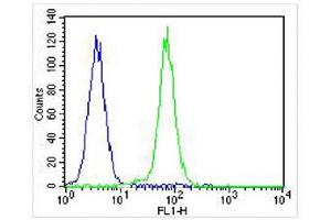 Overlay histogram showing K562 cells stained with (ABIN6242782 and ABIN6577130) (green line). (CDK5 抗体)