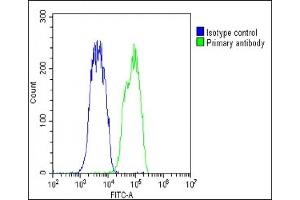 Overlay histogram showing Hela cells stained with (ABIN652147 and ABIN2840565)(green line). (ARHGAP39 抗体  (C-Term))