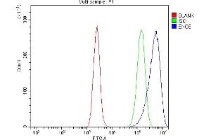 Flow Cytometry analysis of Caco-2 cells using anti-ENO3 antibody (ABIN7602145).