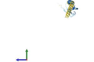 AlphaFold protein structure predicition of Mouse Recombinant Nrg4 Protein, UniprotID Q9WTX4