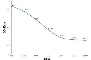 Antigen: 0. (Beta Lactoglobulin (LGB) (AA 51-130) 抗体)