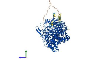 Protein Structure (PS) image for Mannosyl-Oligosaccharide Glucosidase (MOGS) (AA 1-837) protein (His tag) (ABIN7554591)