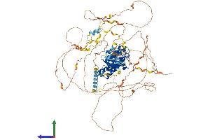 Protein Structure (PS) image for Growth Arrest-Specific 2 Like 2 (GAS2L2) (AA 1-880) protein (His tag) (ABIN7547770)