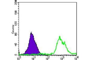 Flow cytometric analysis of Jurkat cells using anti-CD247 mAb (green) and negative control (purple).
