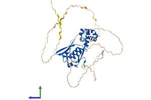 Protein Structure (PS) image for Sex Comb On Midleg-Like 4 (SCML4) (AA 1-408) protein (His tag) (ABIN7558358)