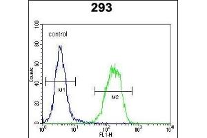 PCOTH Antibody (Center) (ABIN654598 and ABIN2844298) flow cytometric analysis of 293 cells (right histogram) compared to a negative control cell (left histogram). (PCOTH 抗体  (AA 14-42))