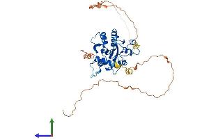 Protein Structure (PS) image for Thymine-DNA Glycosylase (TDG) (AA 1-421) protein (His tag) (ABIN7563457)