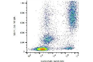 Surface staining of CD16 in human peripheral blood with anti-CD16 (3G8) purified / GAM-APC. (CD16 抗体)