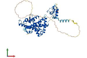 AlphaFold protein structure predicition of Mouse Recombinant Nr1h2 Protein, UniprotID Q60644