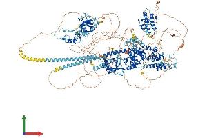AlphaFold protein structure predicition of Human Recombinant BAZ1A Protein, UniprotID Q9NRL2 (BAZ1A Protein (AA 1-1556) (His tag))