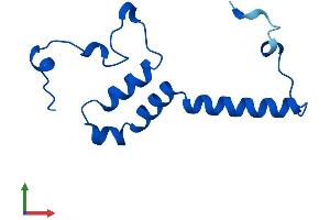 AlphaFold protein structure predicition of Mouse Recombinant Ndufs5 Protein, UniprotID Q99LY9