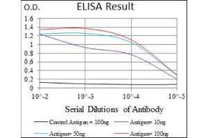 Red: Control Antigen (100ng) ; Purple: Antigen (10ng) ; Green: Antigen (50ng) ; Blue: Antigen (100ng). (Paired Box 3 抗体  (AA 142-203))