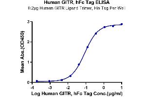 Immobilized Human GITR Ligand Trimer, His Tag at 2 μg/mL (100 μL/well) on the plate.