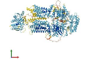 Protein Structure (PS) image for ATP-Binding Cassette, Sub-Family A (ABC1), Member 6 (ABCA6) (AA 1-1624) protein (His tag) (ABIN7564666)