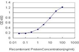 Detection limit for recombinant GST tagged MSI1 is approximately 0. (MSI1 抗体  (AA 1-87))