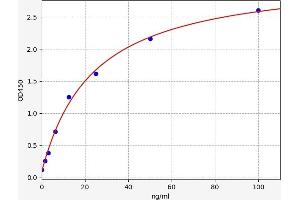 Typical standard curve (Hemoglobin Subunit beta ELISA 试剂盒)