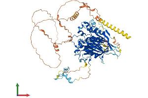 Protein Structure (PS) image for Angel Homolog 1 (ANGEL1) (AA 1-670) protein (His tag) (ABIN7552215)