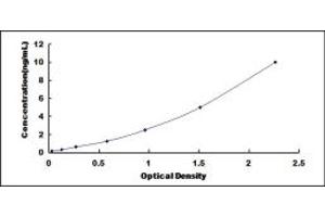 Typical standard curve (NCDN ELISA 试剂盒)