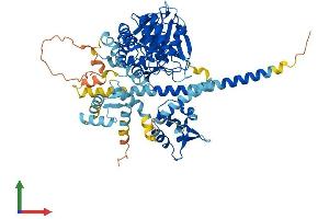 Protein Structure (PS) image for Protein Phosphatase, EF-Hand Calcium Binding Domain 1 (PPEF1) (AA 1-650) protein (His tag) (ABIN7562354)