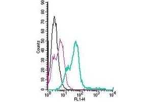 Cell surface detection of Nogo Receptor in live intact mouse BV-2 microglia cells: (black line) Cells. (RTN4R 抗体  (Extracellular) (FITC))