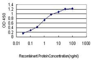 Detection limit for recombinant GST tagged CDKL4 is approximately 0. (CDKL4 抗体  (AA 196-295))