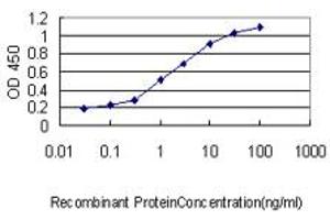 Detection limit for recombinant GST tagged MYCN is approximately 0. (MYCN 抗体  (AA 1-100))