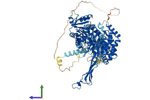 AlphaFold protein structure predicition of Mouse Recombinant Aldh18a1 Protein, UniprotID Q9Z110