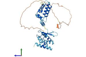 Protein Structure (PS) image for Transcription Elongation Factor A (SII), 3 (TCEA3) (AA 1-347) protein (His tag) (ABIN7562989)
