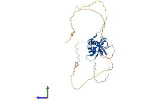 Protein Structure (PS) image for Ring Finger Protein 146 (RNF146) (AA 1-359) protein (His tag) (ABIN7564967)