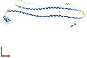 Protein Structure (PS) image for Calcium Binding and Coiled-Coil Domain 1 (CALCOCO1) (AA 1-691) protein (His tag) (ABIN7552831)
