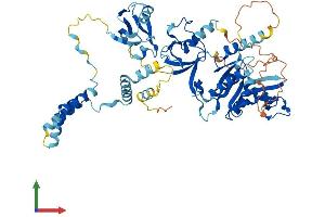 AlphaFold protein structure predicition of Human Recombinant MPP3 Protein, UniprotID Q13368