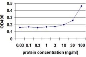 ENO1 (Human) Matched Antibody Pair