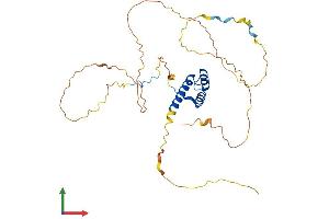 Protein Structure (PS) image for Homeobox D1 (HOXD1) (AA 1-328) protein (His tag) (ABIN7548465)