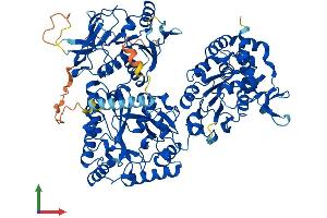 Protein Structure (PS) image for N-Deacetylase/N-Sulfotransferase (Heparan Glucosaminyl) 1 (NDST1) (AA 1-882) protein (His tag) (ABIN7554701)