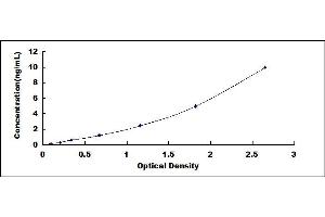 Typical standard curve (Sialoadhesin/CD169 ELISA 试剂盒)