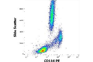 Flow cytometry surface staining pattern of human peripheral whole blood stained using anti-human CD116 (4H1) PE antibody (10 μL reagent / 100 μL of peripheral whole blood). (CSF2RA 抗体  (PE))