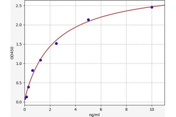 PLA2G6 ELISA 试剂盒