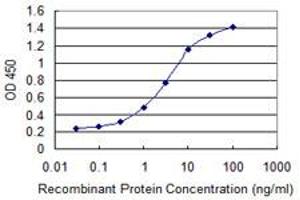Detection limit for recombinant GST tagged STC1 is 0. (Stanniocalcin 1 抗体  (AA 141-247))