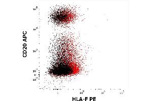Flow cytometry multicolor surface staining pattern of human lymphocytes stained using anti-human CD20 (2H7) PE antibody (10 μL reagent / 100 μL of peripheral whole blood) and anti-HLA-F (3D11) PE antibody (concentration in sample 5 μg/mL, red) or mouse IgG1 isotype control (MOPC-21) PE antibody (concentration in sample 5 μg/mL, same as anti-HLA-F PE concentration, black).