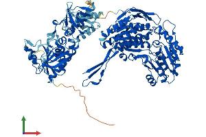 Protein Structure (PS) image for Aldehyde Dehydrogenase 1 Family, Member L2 (ALDH1L2) (AA 1-923) protein (His tag) (ABIN7552140)