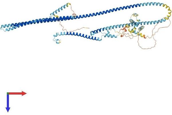 Dynein Regulatory Complex Subunit 1 (DRC1) (AA 1-740) protein (His tag)