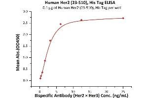 Immobilized Human Her2 (23-510), His Tag (ABIN6973091) at 1 μg/mL (100 μL/well) can bind Bispecific Antibody (Her2 x Her3) with a linear range of 0.