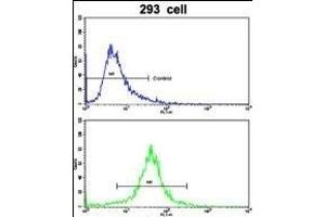 Flow Cytometry (FACS) image for anti-Isocitrate Dehydrogenase 1 (NADP+), Soluble (IDH1) (AA 63-90), (N-Term) antibody (ABIN391659)