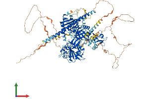 AlphaFold protein structure predicition of Human Recombinant SIPA1 Protein, UniprotID Q96FS4