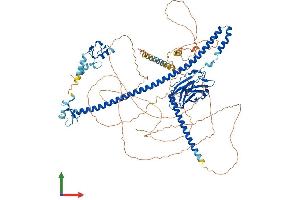Protein Structure (PS) image for Tripartite Motif Containing 37 (TRIM37) (AA 1-961) protein (His tag) (ABIN7564114)