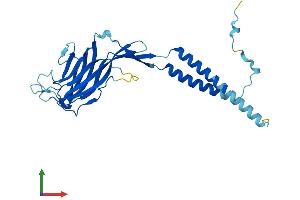 Protein Structure (PS) image for Endoplasmic Reticulum-Golgi Intermediate Compartment (ERGIC) 1 (ERGIC1) (AA 1-290) protein (His tag) (ABIN7547426)