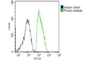 Overlay histogram showing MCF-7 cells stained with Antibody (green line). (DDR1 抗体  (N-Term))