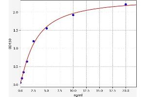 Elastase 2B (ELA2B) ELISA Kit