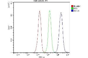 Flow Cytometry analysis of JK cells using anti-KIFC1 antibody (ABIN7599523).